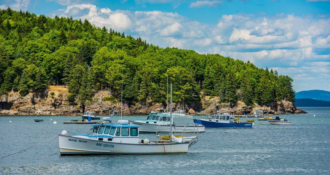 weather forecast bar harbor maine august