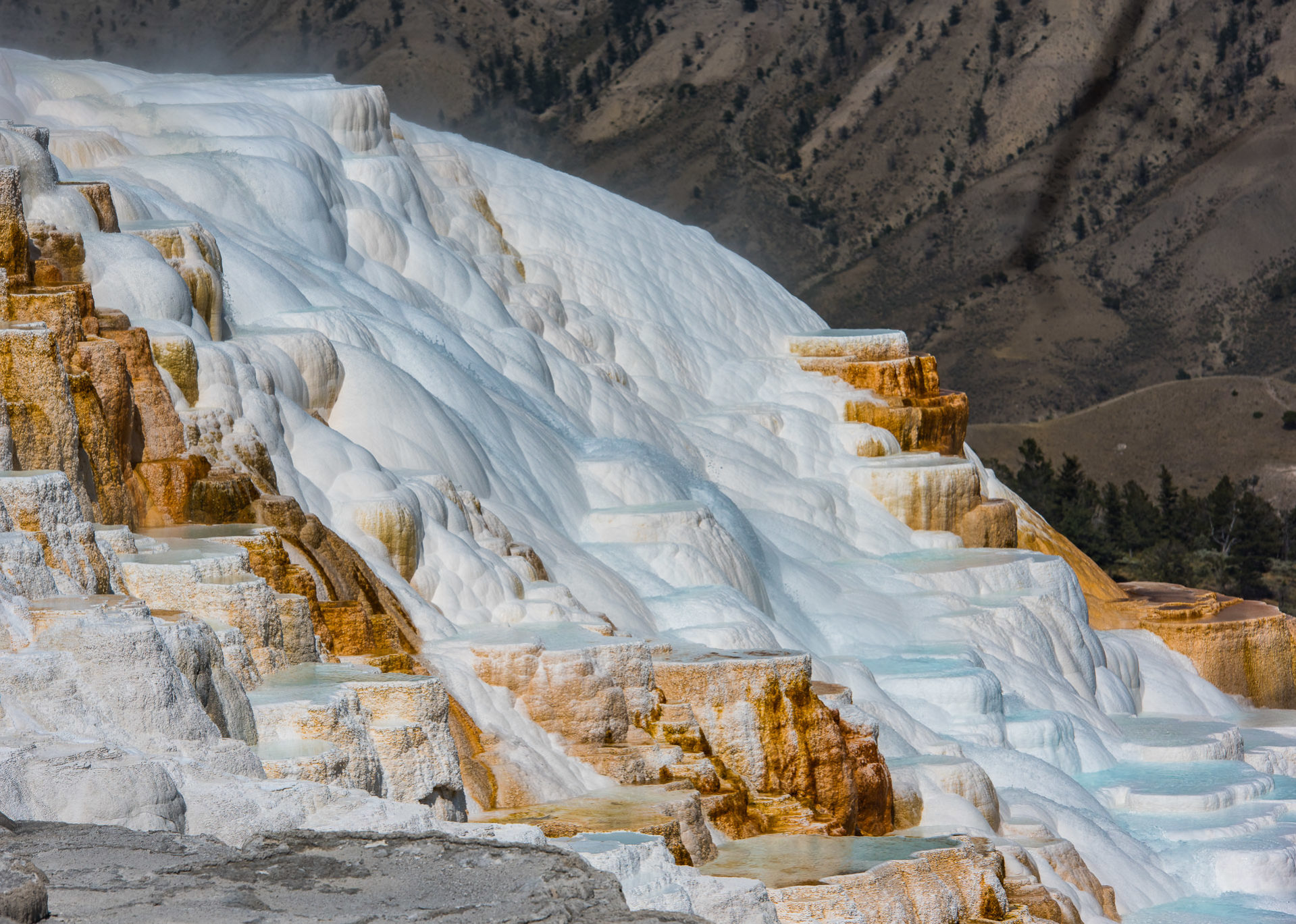 Mammoth Hot Springs - Yellowstone National Park, Wyoming - Part 7 - Travel Obscura